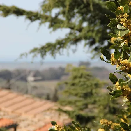 Etrusca Bed and Breakfast