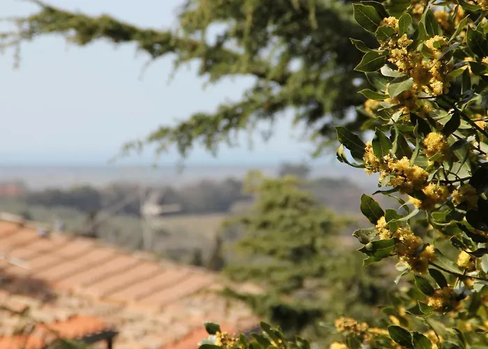 Etrusca Bed & Breakfast